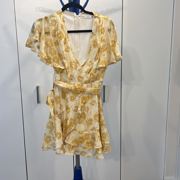 XS - Hello Molly - Undivided Attention Dress - Picture 3 of 5